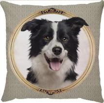 Capa Almofada Cachorro Border Collie Dog Oxford Colors