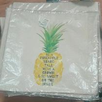 Capa de Almofada de Abacaxi 43x43