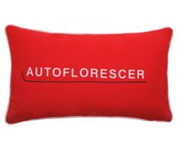 Capa de Almofada Marcela Scheid Autoflorescer Vermelha Capa de Almofada Marcela Scheid Autoflorescer Vermelha
