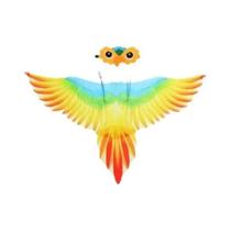 Capa De Asas De Papagaio Fantasia Para Carnaval Halloween Performance Fantasia