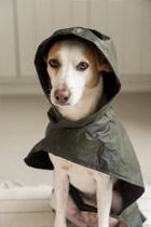 Capa de Chuva para Pet - Verde Musgo
