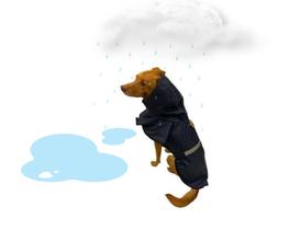 Capa de Chuva Pet Impermeável Capuz Cachorro Cães Azul M