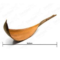 Capa De Coco Desidratado p/ Decoração Capa De Coco Desidratado p/ Decoração