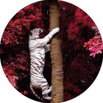 Capa De Estepe Ecosport Aircross Tigre Branco Floresta