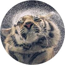 Capa De Estepe Ecosport Crossfox Aircross Tigre Molhado