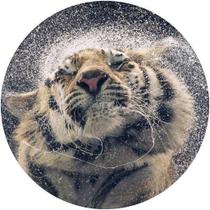 Capa De Estepe Ecosport Crossfox Aircross Tigre Molhado