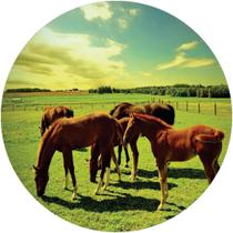 Capa De Estepe Ecosport Crossfox Cavalos Fazenda