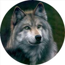 Capa de Estepe para Ecosport Crossfox Aircross Lobo CN845 - Lorben Capa de Estepe para Ecosport Crossfox Aircross Lobo CN845 - Lorben