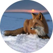 Capa de Estepe Pneu Especial para Crossfox Fox Raposa 10 CN883 - Lorben