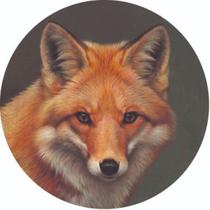 Capa de Estepe Pneu Especial para Crossfox Fox Raposa CN873 - Lorben