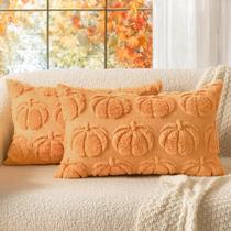 Capa de travesseiro MIULEE Fall Decor 30x50cm Conjunto de 2 peles sintéticas Capa de travesseiro MIULEE Fall Decor 30x50cm Conjunto de 2 peles sintéticas