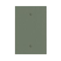 Capa Decorativa para Interruptor de Luz Oilbiexn Verde Sálvia 1 Módulo
