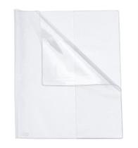 Capa Diário Professor Cristal 250 Mm x 310 Mm dac