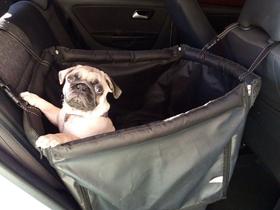 Capa Pet Protetora para bancos com Cinto De Segurança Tam. P - Preta