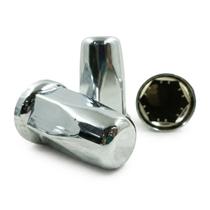 CAPA PORCA RODA BELGA (32 e 33) CAPA PORCA RODA BELGA (32 e 33)
