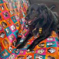 Capa Protetora Pet Banco Traseiro Impermeável Estampada