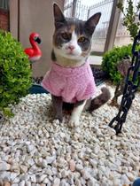 Capa Rosa Bêbe Com Lacinho Para Pet - Roupas para Gatos - Divance