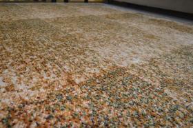 Capacho Monterey Millennium Delicatos 050x090 cm Capacho Monterey Millennium Delicatos 050x090 cm