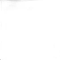 Capacho Para Sala Fibra Coco 60X120 Liso