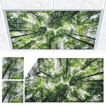 Capas de luz fluorescente magnética Torixqi 2 unidades 121x61cm Capas de luz fluorescente magnética Torixqi 2 unidades 121x61cm