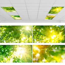 Capas de luz fluorescente ROCEEI Pacote de 4 60,96 x 121,92 cm Capas de luz fluorescente ROCEEI Pacote de 4 60,96 x 121,92 cm