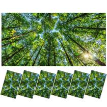 Capas de luz Kittmip Forest 120 x 60 cm 6 peças magnéticas Capas de luz Kittmip Forest 120 x 60 cm 6 peças magnéticas