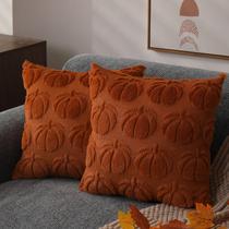 Capas de travesseiro DFXSZ Fall 45x45cm Conjunto de 2 decorações de outono PTK012A18