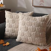 Capas de travesseiro DFXSZ Fall 50x50cm, conjunto de 2 decorações bege de outono
