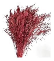 Capim André Quicé Vinho Desidratado Arranjo Decoração Buquê