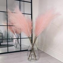 Capim artificial dos pampas Wttisel 38 Faux Pampas Grass - 97 cm rosa Capim artificial dos pampas Wttisel 38 Faux Pampas Grass - 97 cm rosa