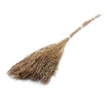 Capim Chorão André Quicé Desidratado Flores Secas - Natural