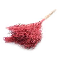 Capim Chorão André Quicé Desidratado Flores Secas - Rosa