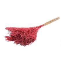 Capim Chorão André Quicé Desidratado Flores Secas - Vermelho