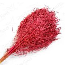 Capim Chorão André Quicé Pink Desidratado Flores Secas