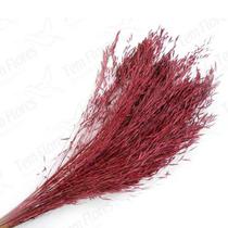 Capim Chorão André Quicé Rosa Desidratado Flores Secas