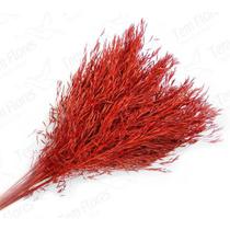 Capim Chorão André Quicé Vermelho Desidratado Flores Secas