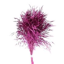 Capim Chorão Pink Desidratado