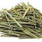 Capim cidreira - 1kg atacado Relaxamento e Bem-Estar Natural Kippys Natural
