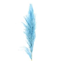 Capim Dos Pampas 90cm - Azul Claro (Haste)