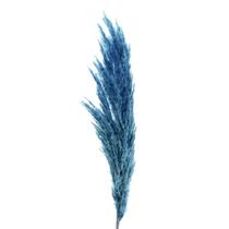 Capim Dos Pampas 90cm - Azul (Haste)