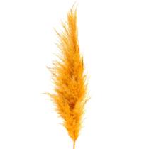 Capim Dos Pampas 90cm - Laranja (Haste)