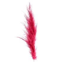 Capim Dos Pampas 90cm - Vermelho (Haste)