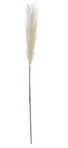 CAPIM DOS PAMPAS PLUMA (BRANCO) 75cm