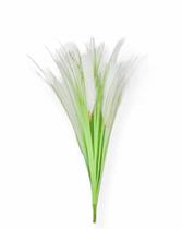 Capim Dos Pampas Pluma Gd Branco 85cm