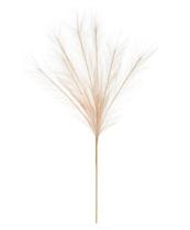 CAPIM DOS PAMPAS PLUMA X7 SALMON 70cm