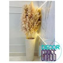 Capim dos Pampas - Plumas - kit com 6 unidades - pinterest - blogueira