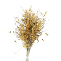 Capim Dourado Natural Desidratado