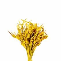Capim Estrela Amarelo Desidratado