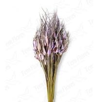 Capim Estrela Lilás Flor Desidratada Buque Flores Secas