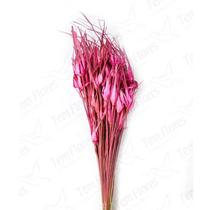 Capim Estrela Pink Flor Desidratada Buque Flores Secas